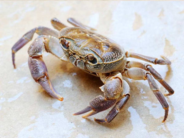河北优质承包高校食堂价格