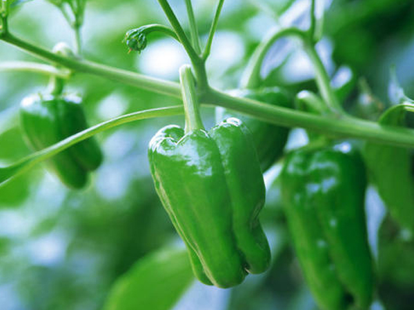 无锡优质食堂对外承包公司
