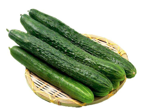 哈尔滨提供食堂对外承包公司